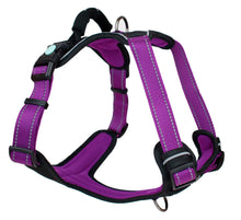 Load image into Gallery viewer, Huskimo Harness - Ultimate - Aurora - Medium