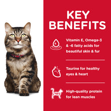 Load image into Gallery viewer, Hill's Cat Dry Food - 7+ Hairball Control (4kg)*