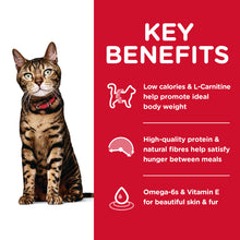 Load image into Gallery viewer, Hill's Cat Dry Food - Light (2kg)