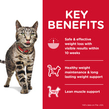 Load image into Gallery viewer, Hill's Cat Dry Food - Perfect Weight (3.7kg)