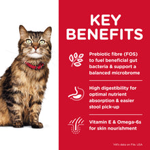 Load image into Gallery viewer, Hill's Cat Dry Food - Sensitive (3.17kg)