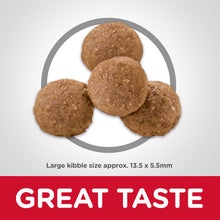 Load image into Gallery viewer, Hill's Dog Dry Food - Puppy - Large Breed (12kg)