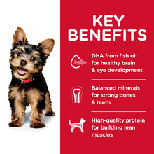 Load image into Gallery viewer, Hill's Dog Dry Food - Puppy - Small Paws (1.5kg)