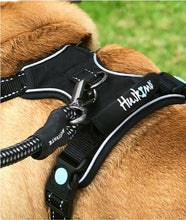 Load image into Gallery viewer, Huskimo Harness - Ultimate - Dark Sky - Medium