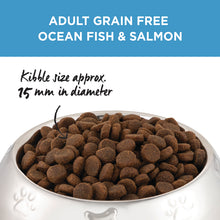 Load image into Gallery viewer, Ivory Coat Dog Dry Food - Ocean Fish & Salmon (13kg)
