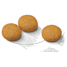 Load image into Gallery viewer, Royal Canin Dog Dry Food - Medium - Dermacomfort (3kg)