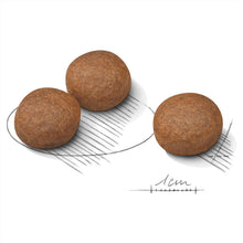 Load image into Gallery viewer, Royal Canin Dog Dry Food - Medium - Digestive (3kg)