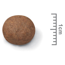 Load image into Gallery viewer, Royal Canin Dog Dry Food - Medium - Puppy (4kg)