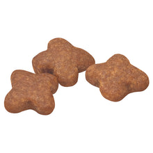 Load image into Gallery viewer, Royal Canin Dog Dry Food - Mini 8+ (2kg)