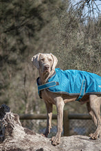Load image into Gallery viewer, Huskimo Dog Coat - Odour Free Summit - Bells Beach (52cm)