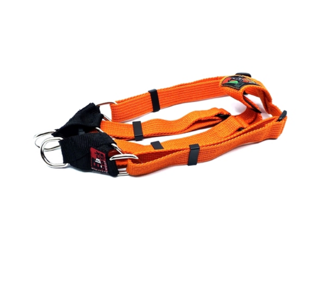 Black Dog Wear Dog Harness Large Orange