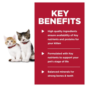 Hill's Cat Wet Food - Kitten - Chicken - Slab (24 x 156g)