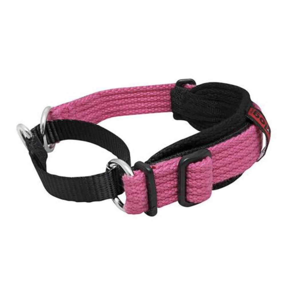 BlackDog Wear Whippet Collar Two Tone Pink