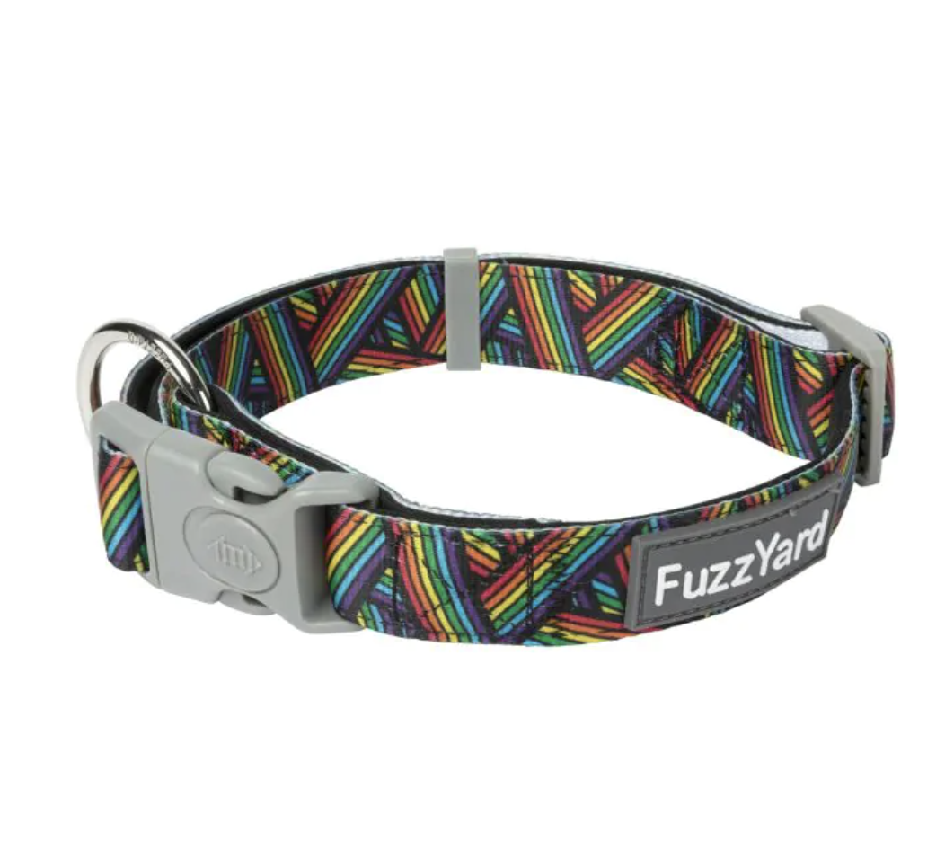 Fuzzyard Dog Collar - Rainbow Northcote - Medium