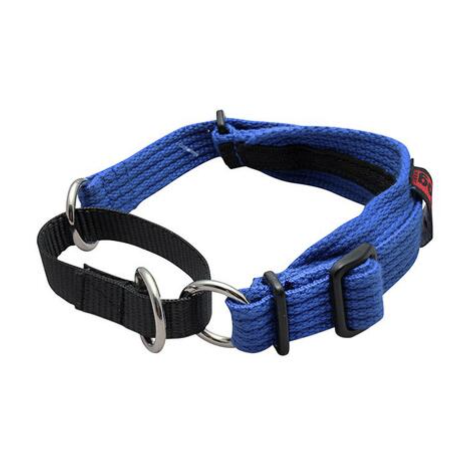 BlackDog Wear Whippet Collar Blue