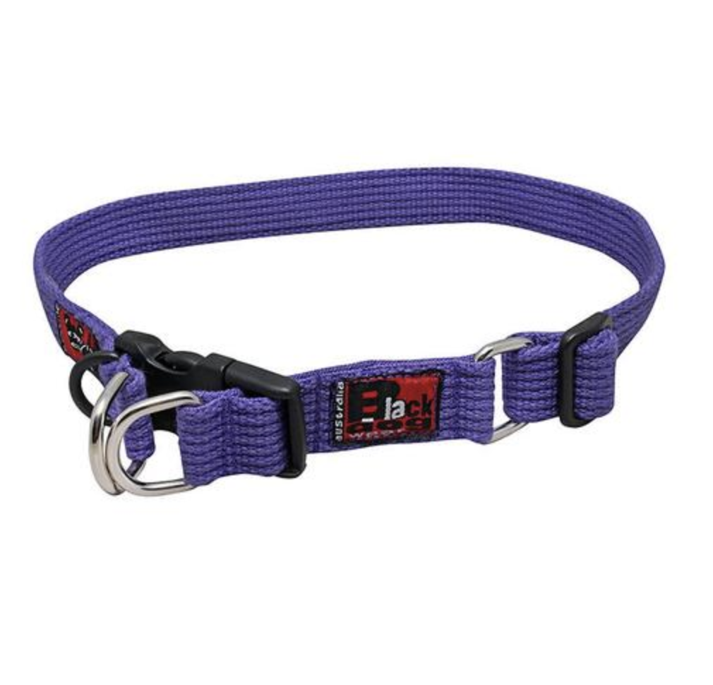 Blackdog Wear Standard Collar - XLarge - Purple