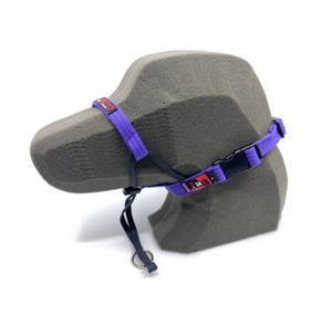 BlackDog Wear Training Halter Large Purple