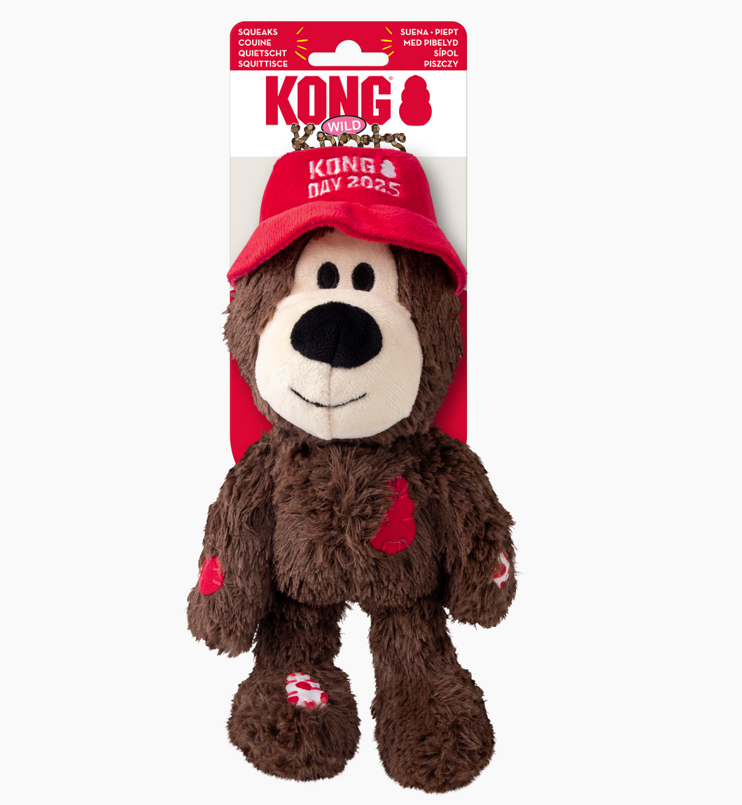 Kong Wild Knots KONG Day 2025 Bear Assorted Medium/Large