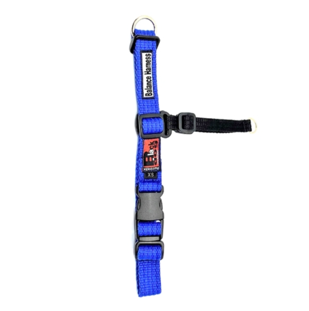 Black Dog Wear Balance Harness Mini Blue