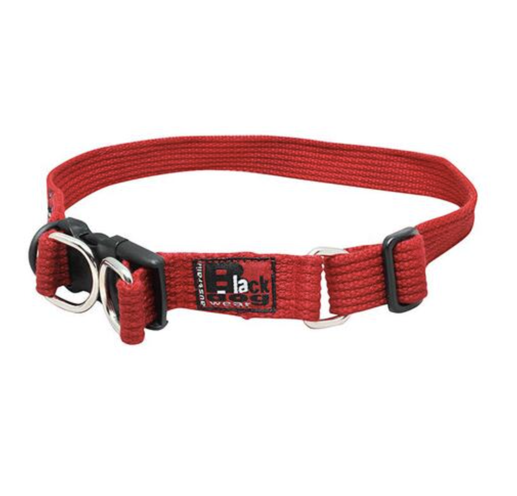 Blackdog Wear Standard Collar-XLarge-Red