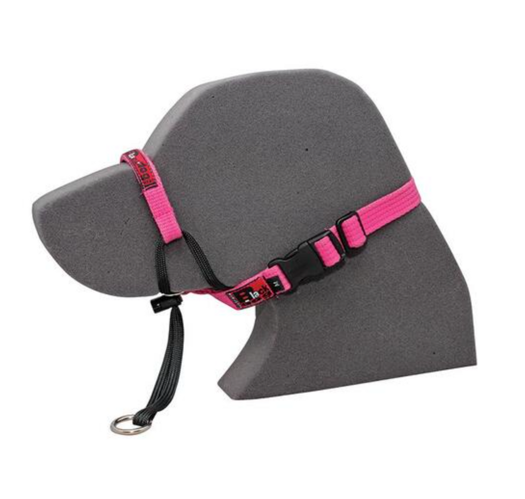 BlackDog Wear Training Halter Medium Pink