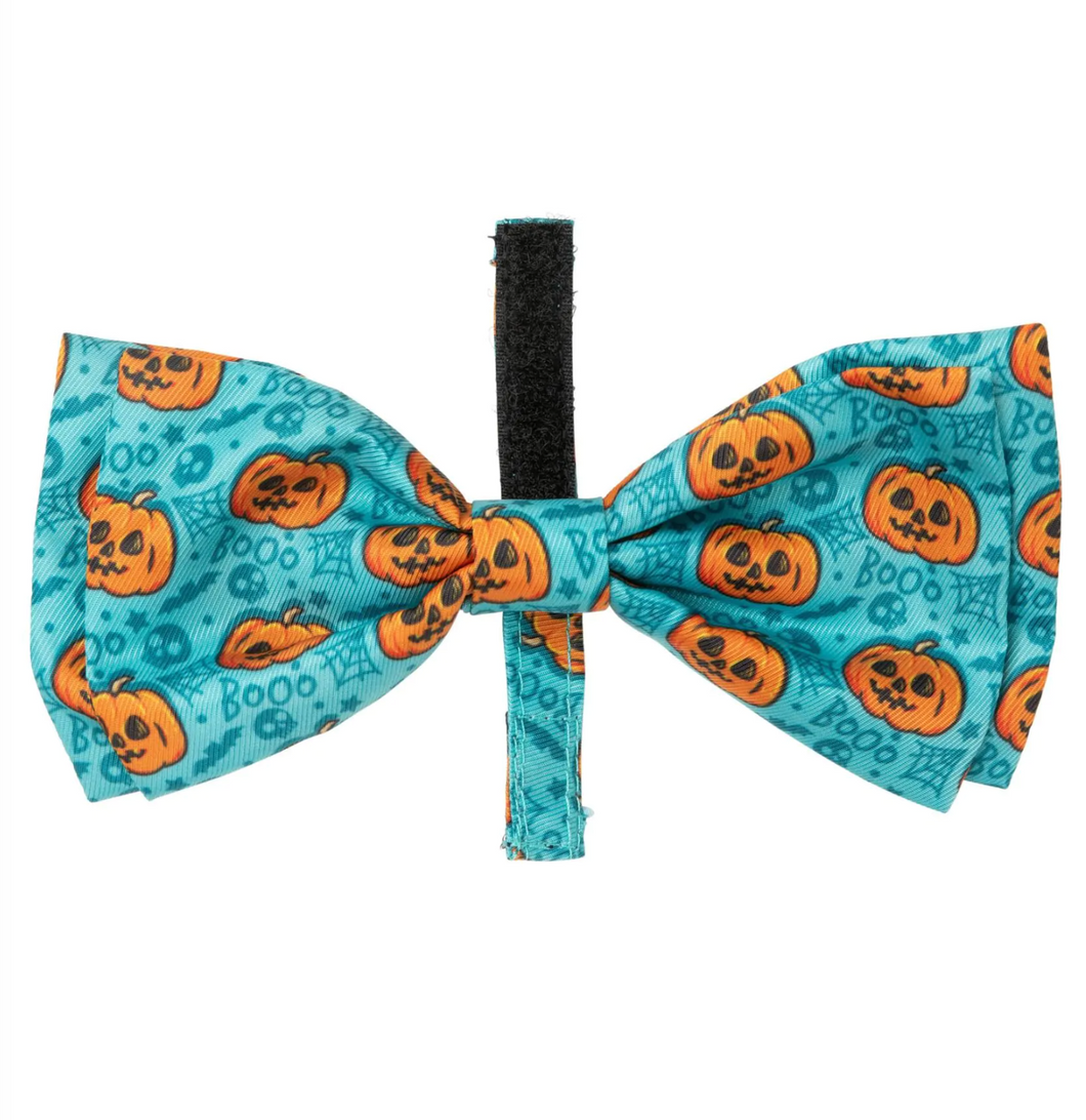 Fuzzyard Halloween Bowtie - Jack Jack Jackie Lantern - Teal S