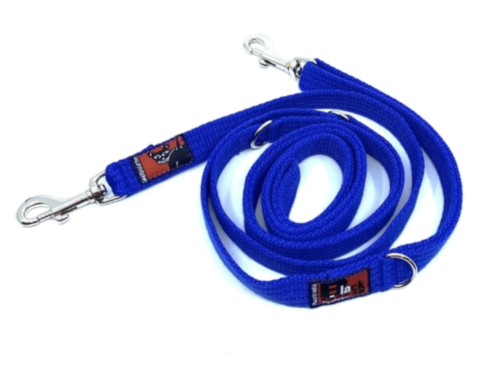 BlackDog Wear Double Ended Lead Small Blue