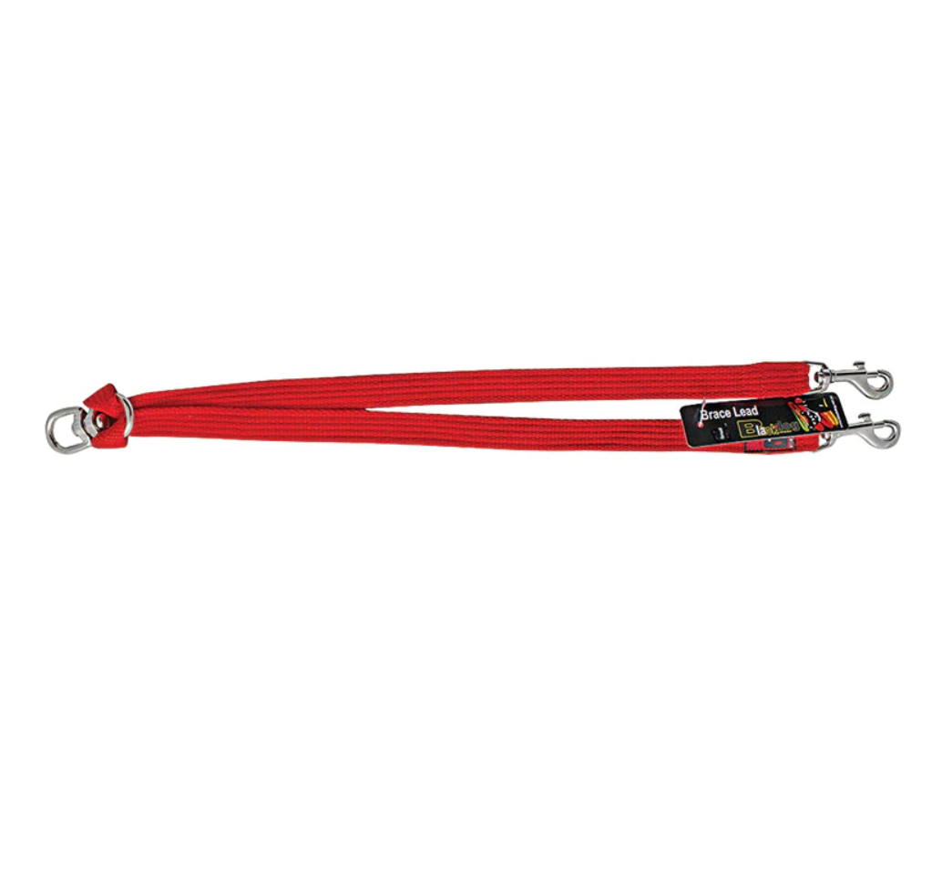 Black Dog Wear Mini Brace Split Lead Red