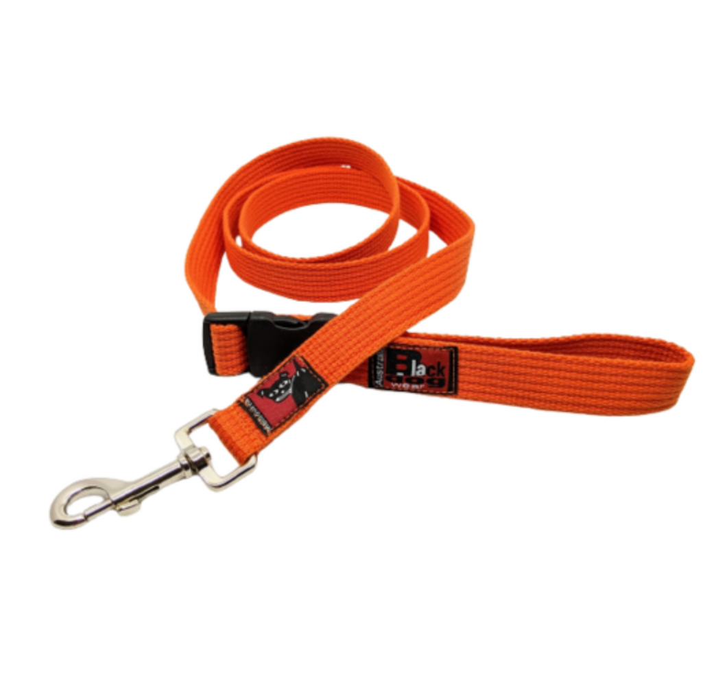 BlackDog Wear Smart Lead & Buckle Regular 1.5M Purple