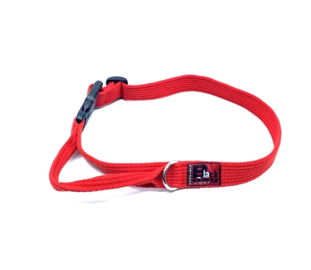 Blackdog Wear Agility/Flyball Collar Red S