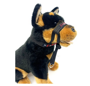 BlackDog Wear Training Halter Mini Black