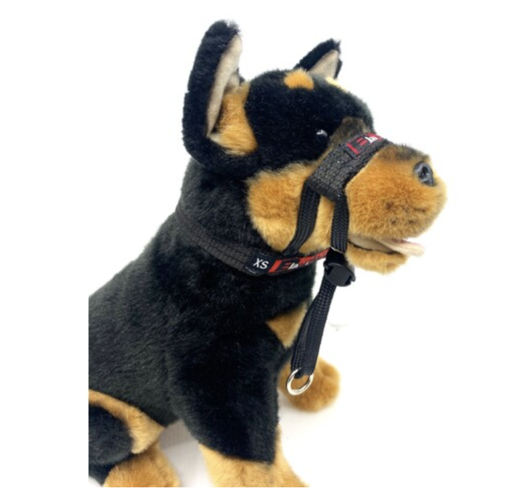 BlackDog Wear Training Halter Mini Black