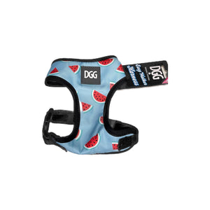 DGG Easy Walker Harness - Watermelon Print - XSmall