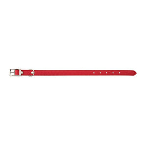 Canine Care Plain 35cm Red