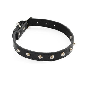 Canine Care Studded Collar - Black (35cm)