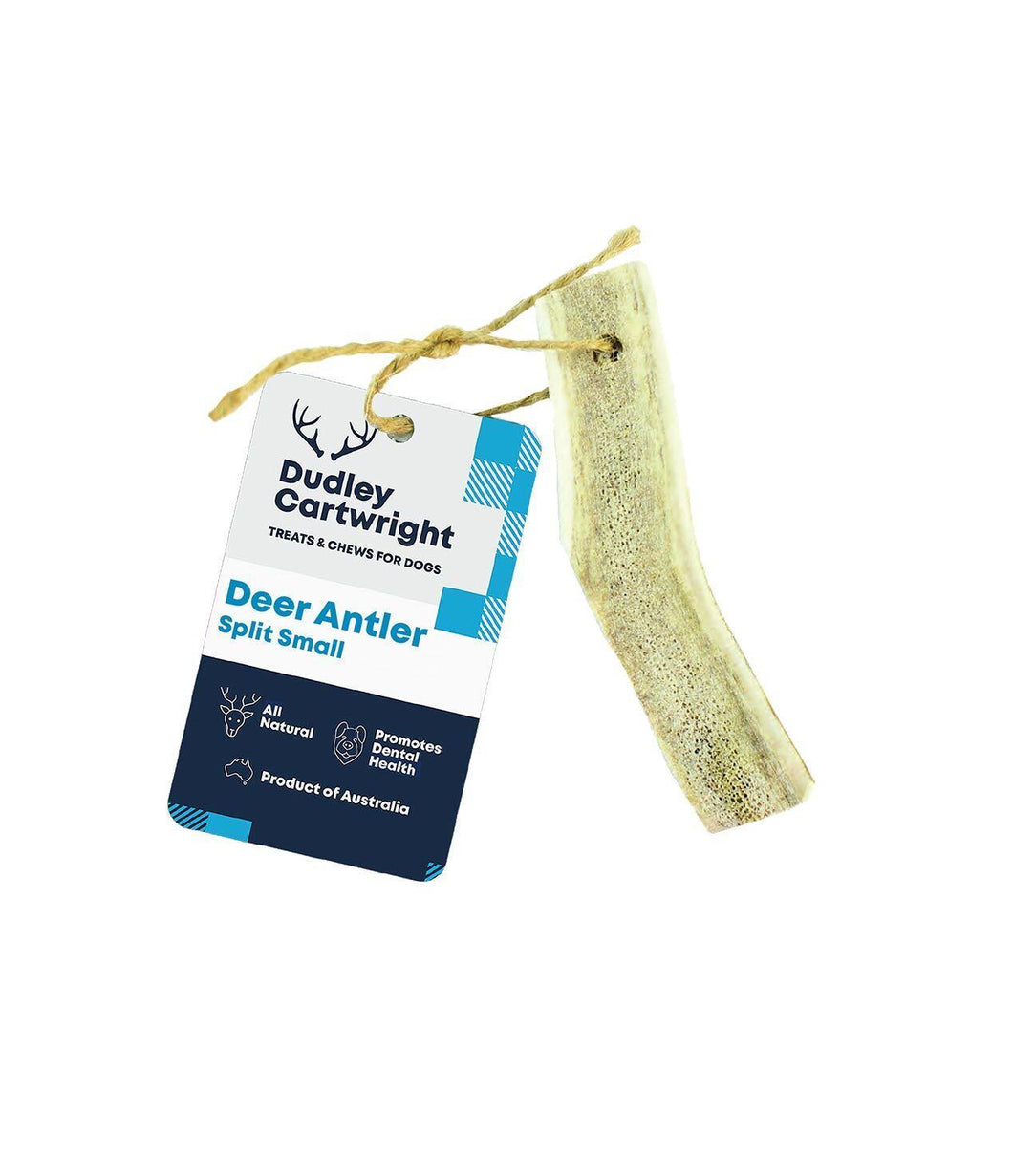 Dudley Antler Split - Small