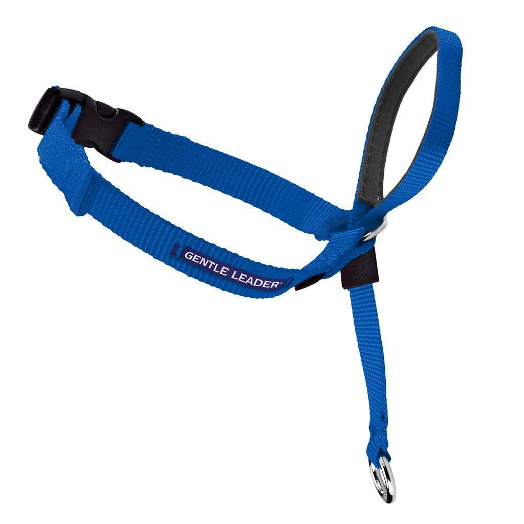 Gentle Leader Headcollar - Medium - Blue