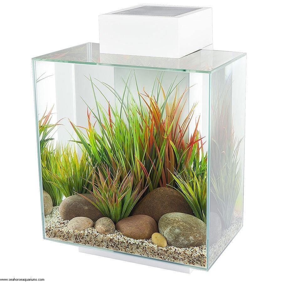 Fluval EDGE 2.0 Aquarium White (46L)