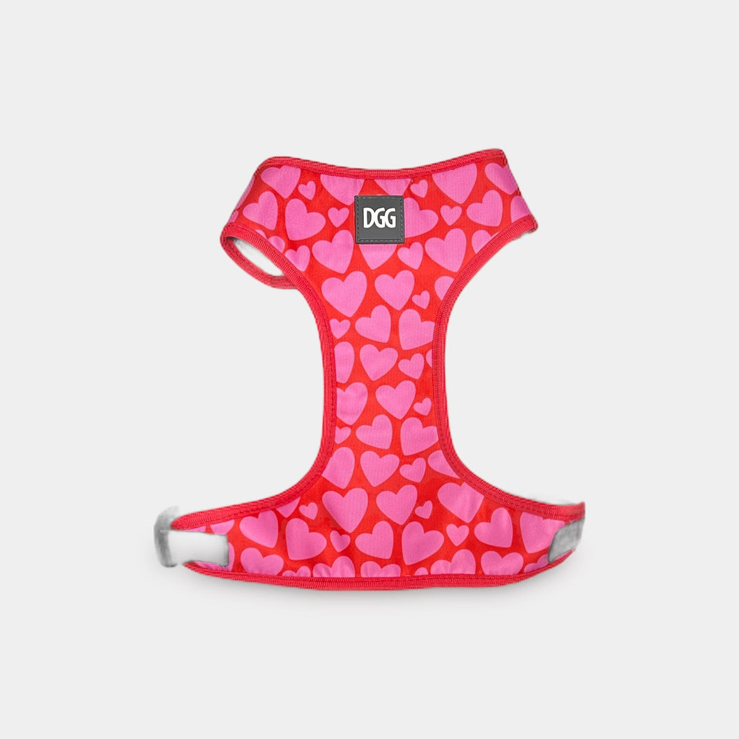 DGG Easy Walker Harness - Love Hearts - Large