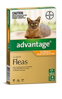 Advantage for Kittens & Small Cats up to 4 kg (4 pack)