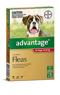 Advantage for Dogs between 10-25kg (6 pack)