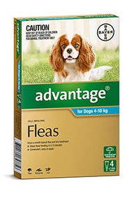 Advantage for Dogs between 4-10kg (4 pack)