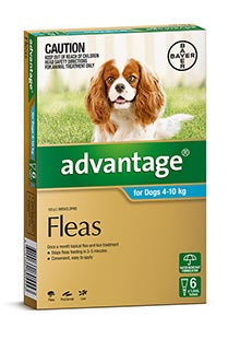 Advantage for Dogs between 4-10kg (6 pack)