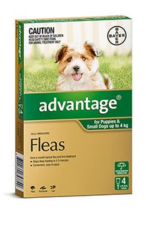Advantage for Dogs up to 4kg (4 pack)
