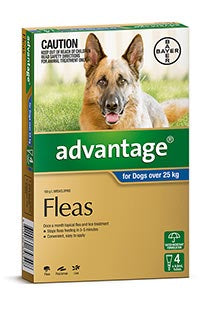 Advantage for Dogs Over 25kg (4 pack)