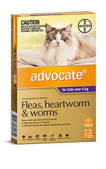 Advocate for Cats Over 4kg (3 pack)