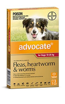 Advocate for Dogs between 10-25kg (3 pack)