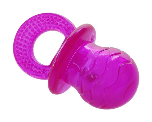 Dog Toy Play Pacifier Squeak