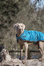Load image into Gallery viewer, Huskimo Dog Coat - Odour Free Summit - Bells Beach (52cm)
