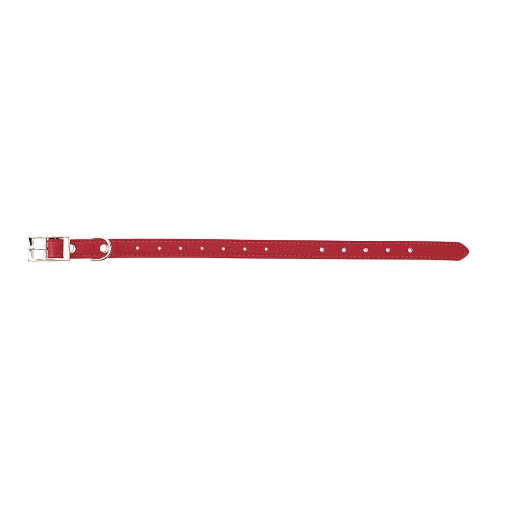 Canine Care Stud 35cm Red